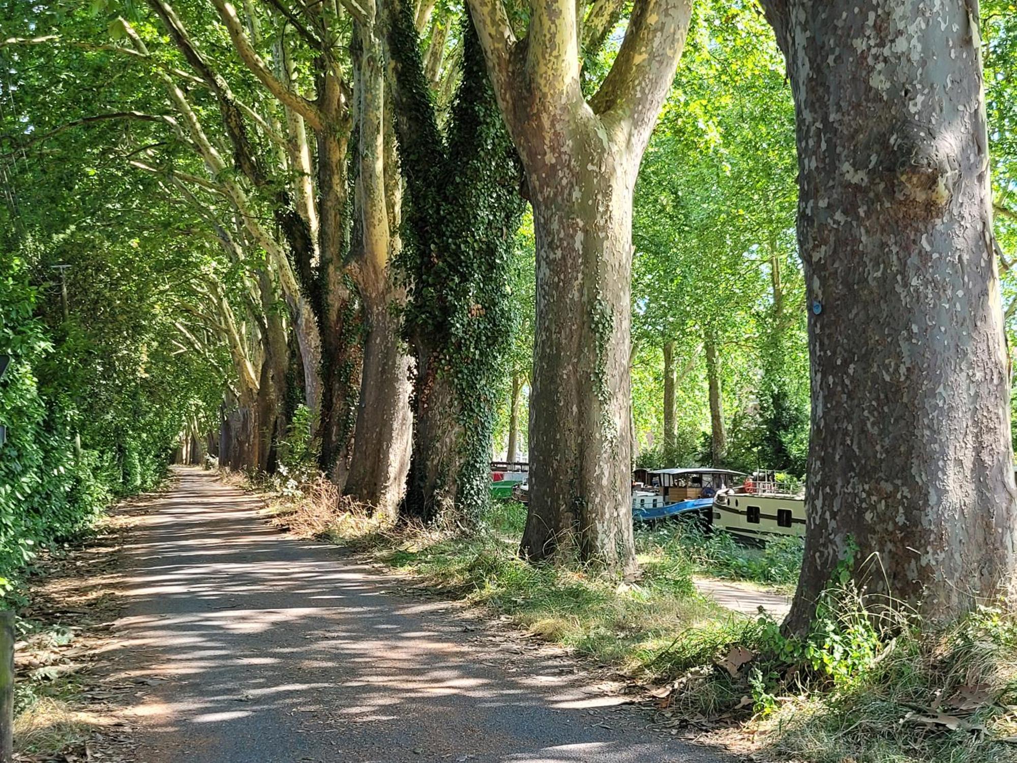 Chambre Sud Chez Habitant Τουλούζη Εξωτερικό φωτογραφία